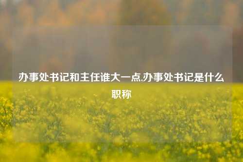 办事处书记和主任谁大一点,办事处书记是什么职称-第1张图片-中共霸州城区办事处-何庄社区