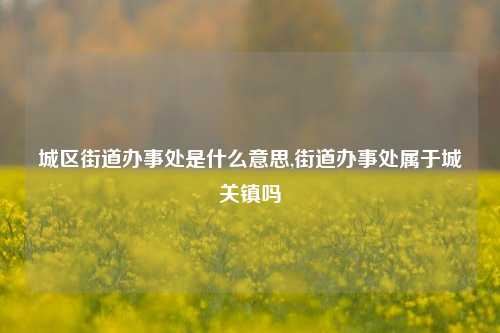 城区街道办事处是什么意思,街道办事处属于城关镇吗-第1张图片-中共霸州城区办事处-何庄社区