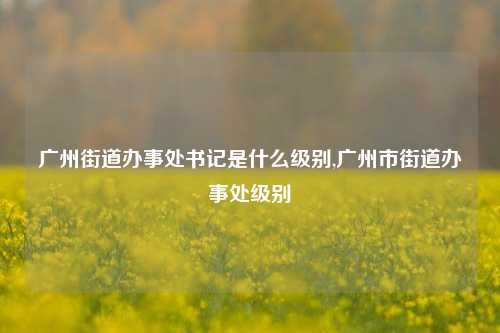 广州街道办事处书记是什么级别,广州市街道办事处级别-第1张图片-中共霸州城区办事处-何庄社区