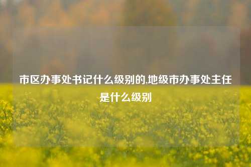 市区办事处书记什么级别的,地级市办事处主任是什么级别-第1张图片-中共霸州城区办事处-何庄社区