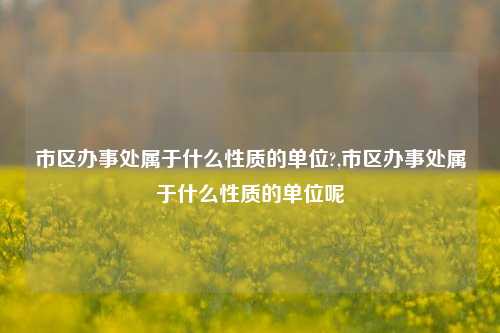 市区办事处属于什么性质的单位?,市区办事处属于什么性质的单位呢-第1张图片-中共霸州城区办事处-何庄社区