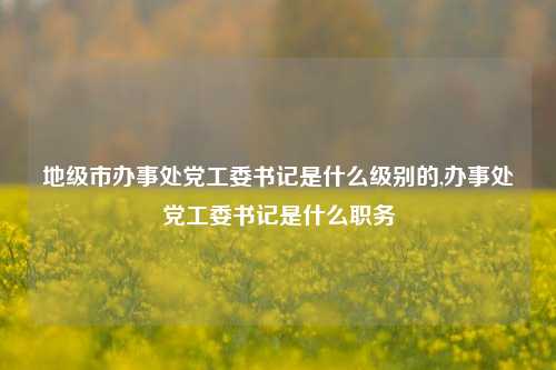 地级市办事处党工委书记是什么级别的,办事处党工委书记是什么职务-第1张图片-中共霸州城区办事处-何庄社区