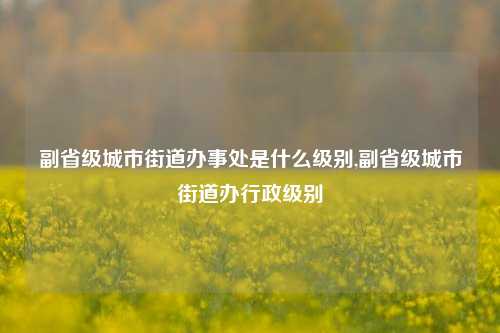 副省级城市街道办事处是什么级别,副省级城市街道办行政级别-第1张图片-中共霸州城区办事处-何庄社区