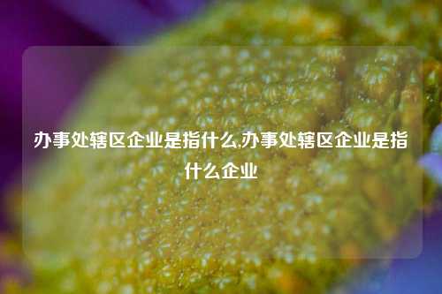 办事处辖区企业是指什么,办事处辖区企业是指什么企业-第1张图片-中共霸州城区办事处-何庄社区