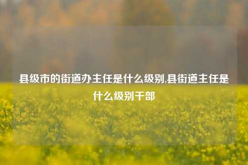 县级市的街道办主任是什么级别,县街道主任是什么级别干部-第1张图片-中共霸州城区办事处-何庄社区