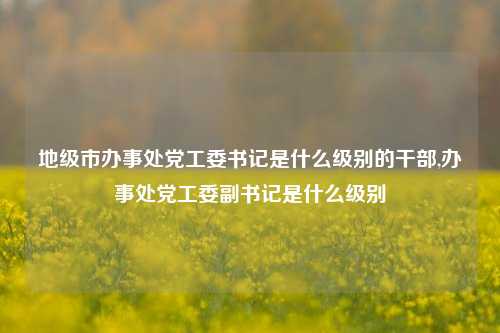 地级市办事处党工委书记是什么级别的干部,办事处党工委副书记是什么级别-第1张图片-中共霸州城区办事处-何庄社区