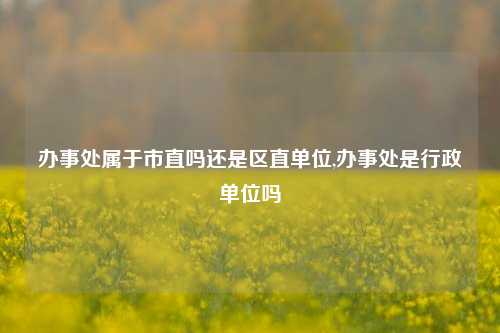 办事处属于市直吗还是区直单位,办事处是行政单位吗-第1张图片-中共霸州城区办事处-何庄社区