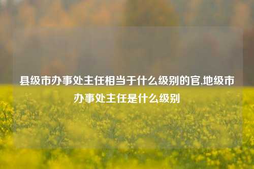 县级市办事处主任相当于什么级别的官,地级市办事处主任是什么级别-第1张图片-中共霸州城区办事处-何庄社区