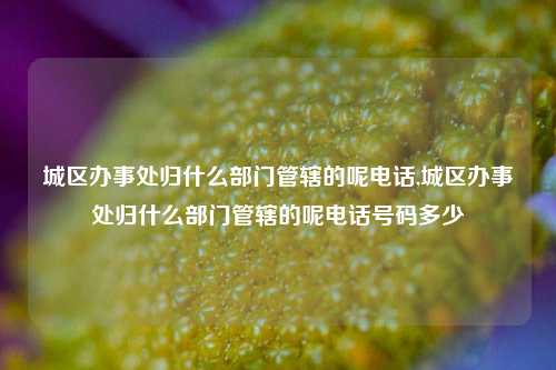 城区办事处归什么部门管辖的呢电话,城区办事处归什么部门管辖的呢电话号码多少-第1张图片-中共霸州城区办事处-何庄社区