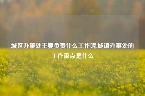 城区办事处主要负责什么工作呢,城镇办事处的工作重点是什么-第1张图片-中共霸州城区办事处-何庄社区