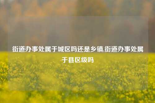 街道办事处属于城区吗还是乡镇,街道办事处属于县区级吗-第1张图片-中共霸州城区办事处-何庄社区