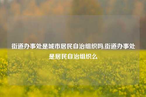 街道办事处是城市居民自治组织吗,街道办事处是居民自治组织么-第1张图片-中共霸州城区办事处-何庄社区