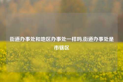 街道办事处和地区办事处一样吗,街道办事处是市辖区-第1张图片-中共霸州城区办事处-何庄社区