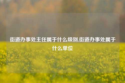 街道办事处主任属于什么级别,街道办事处属于什么单位-第1张图片-中共霸州城区办事处-何庄社区