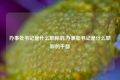 办事处书记是什么职称的,办事处书记是什么职称的干部-第1张图片-中共霸州城区办事处-何庄社区