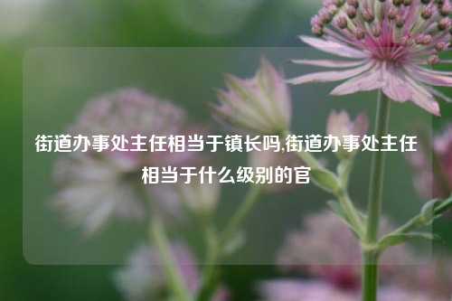 街道办事处主任相当于镇长吗,街道办事处主任相当于什么级别的官-第1张图片-中共霸州城区办事处-何庄社区