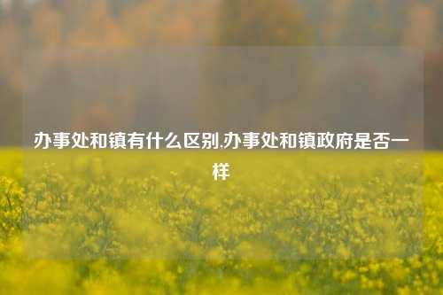 办事处和镇有什么区别,办事处和镇政府是否一样-第1张图片-中共霸州城区办事处-何庄社区