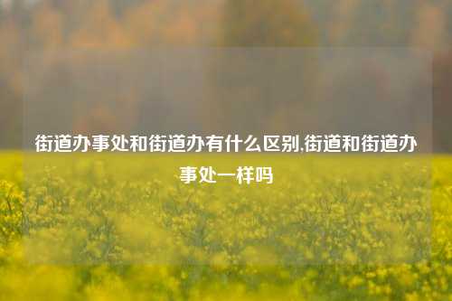 街道办事处和街道办有什么区别,街道和街道办事处一样吗-第1张图片-中共霸州城区办事处-何庄社区