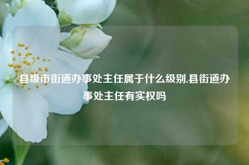 县级市街道办事处主任属于什么级别,县街道办事处主任有实权吗-第1张图片-中共霸州城区办事处-何庄社区