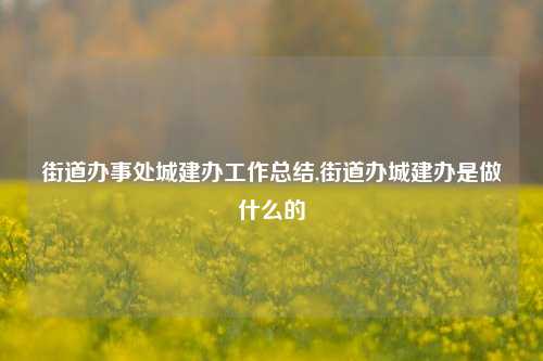 街道办事处城建办工作总结,街道办城建办是做什么的-第1张图片-中共霸州城区办事处-何庄社区