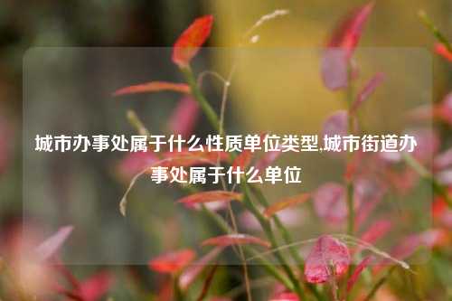 城市办事处属于什么性质单位类型,城市街道办事处属于什么单位-第1张图片-中共霸州城区办事处-何庄社区