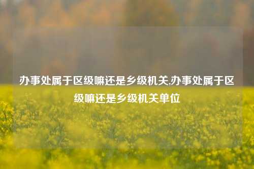 办事处属于区级嘛还是乡级机关,办事处属于区级嘛还是乡级机关单位-第1张图片-中共霸州城区办事处-何庄社区