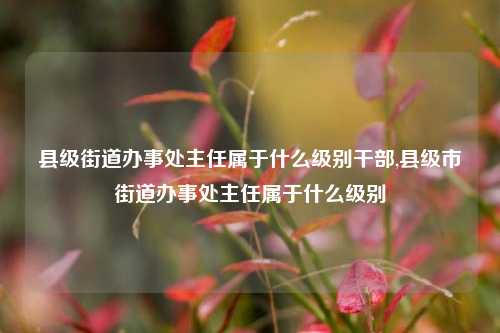 县级街道办事处主任属于什么级别干部,县级市街道办事处主任属于什么级别-第1张图片-中共霸州城区办事处-何庄社区