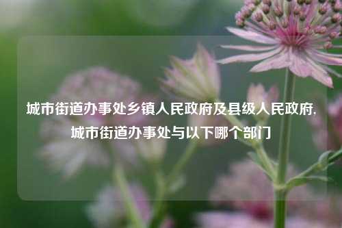 城市街道办事处乡镇人民政府及县级人民政府,城市街道办事处与以下哪个部门-第1张图片-中共霸州城区办事处-何庄社区