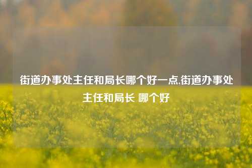 街道办事处主任和局长哪个好一点,街道办事处主任和局长 哪个好-第1张图片-中共霸州城区办事处-何庄社区