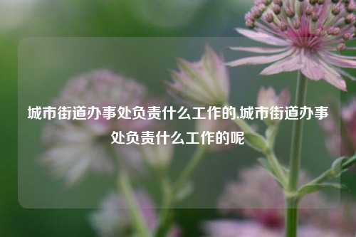 城市街道办事处负责什么工作的,城市街道办事处负责什么工作的呢-第1张图片-中共霸州城区办事处-何庄社区