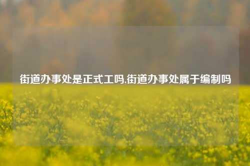 街道办事处是正式工吗,街道办事处属于编制吗-第1张图片-中共霸州城区办事处-何庄社区