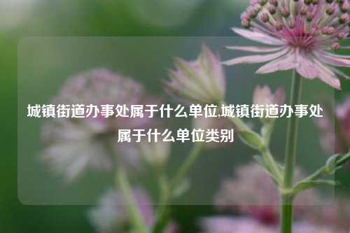 城镇街道办事处属于什么单位,城镇街道办事处属于什么单位类别-第1张图片-中共霸州城区办事处-何庄社区