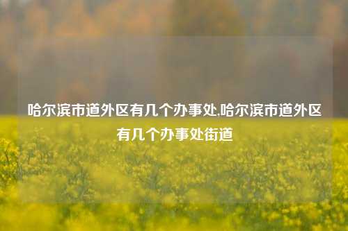 哈尔滨市道外区有几个办事处,哈尔滨市道外区有几个办事处街道-第1张图片-中共霸州城区办事处-何庄社区