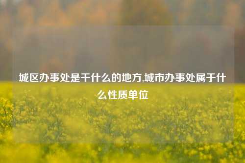 城区办事处是干什么的地方,城市办事处属于什么性质单位-第1张图片-中共霸州城区办事处-何庄社区