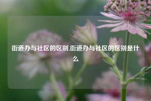 街道办与社区的区别,街道办与社区的区别是什么-第1张图片-中共霸州城区办事处-何庄社区