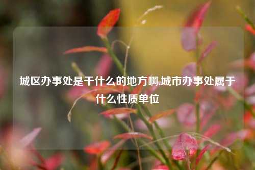 城区办事处是干什么的地方啊,城市办事处属于什么性质单位-第1张图片-中共霸州城区办事处-何庄社区