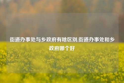 街道办事处与乡政府有啥区别,街道办事处和乡政府哪个好-第1张图片-中共霸州城区办事处-何庄社区