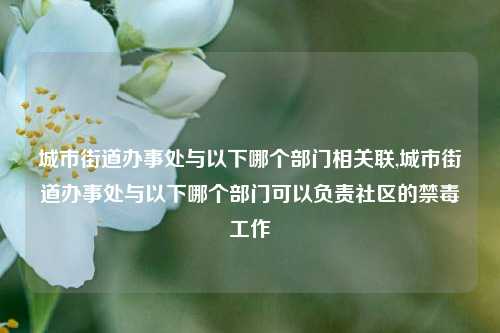 城市街道办事处与以下哪个部门相关联,城市街道办事处与以下哪个部门可以负责社区的禁毒工作-第1张图片-中共霸州城区办事处-何庄社区