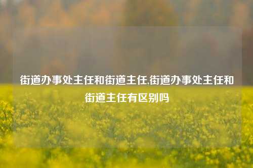 街道办事处主任和街道主任,街道办事处主任和街道主任有区别吗-第1张图片-中共霸州城区办事处-何庄社区