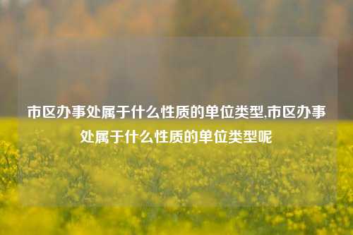 市区办事处属于什么性质的单位类型,市区办事处属于什么性质的单位类型呢-第1张图片-中共霸州城区办事处-何庄社区