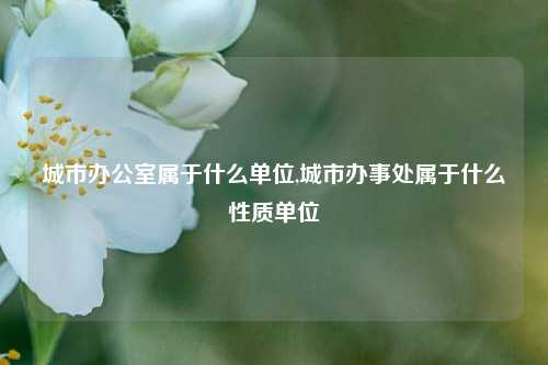 城市办公室属于什么单位,城市办事处属于什么性质单位-第1张图片-中共霸州城区办事处-何庄社区