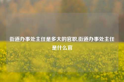 街道办事处主任是多大的官职,街道办事处主任是什么官-第1张图片-中共霸州城区办事处-何庄社区