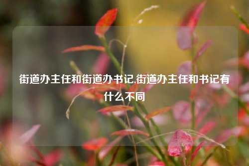 街道办主任和街道办书记,街道办主任和书记有什么不同-第1张图片-中共霸州城区办事处-何庄社区