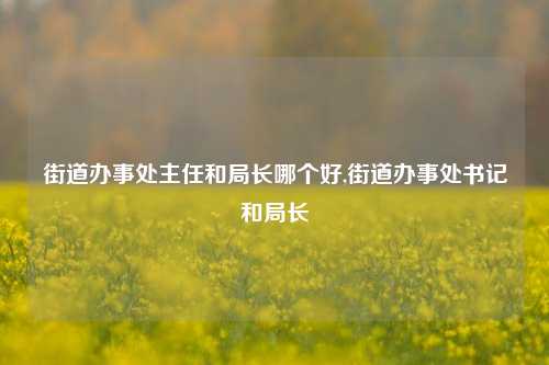 街道办事处主任和局长哪个好,街道办事处书记和局长-第1张图片-中共霸州城区办事处-何庄社区