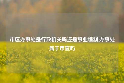 市区办事处是行政机关吗还是事业编制,办事处属于市直吗-第1张图片-中共霸州城区办事处-何庄社区