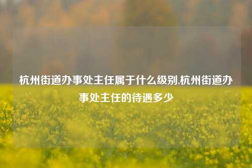 杭州街道办事处主任属于什么级别,杭州街道办事处主任的待遇多少-第1张图片-中共霸州城区办事处-何庄社区