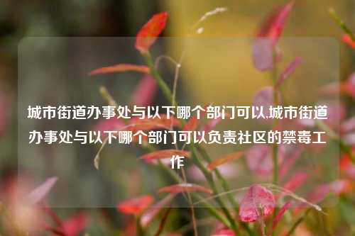 城市街道办事处与以下哪个部门可以,城市街道办事处与以下哪个部门可以负责社区的禁毒工作-第1张图片-中共霸州城区办事处-何庄社区