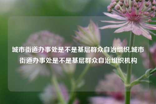 城市街道办事处是不是基层群众自治组织,城市街道办事处是不是基层群众自治组织机构-第1张图片-中共霸州城区办事处-何庄社区