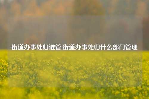 街道办事处归谁管,街道办事处归什么部门管理-第1张图片-中共霸州城区办事处-何庄社区