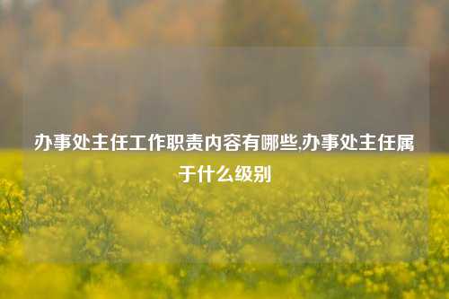 办事处主任工作职责内容有哪些,办事处主任属于什么级别-第1张图片-中共霸州城区办事处-何庄社区